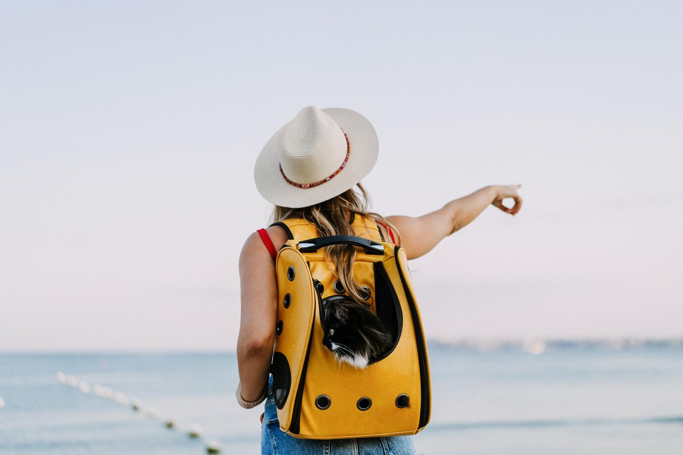 Utasbiztosítás 2025